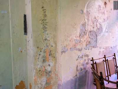 Sulle pareti, purtroppo rovinate dall�umidit�, ci sono i resti di antichi decori vegetali...